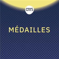 Vignette illustrant cette actualité