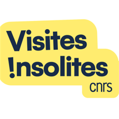 Vignette illustrant cette actualité