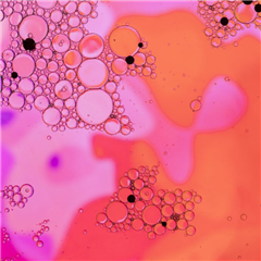 Image illustrant cette actualité