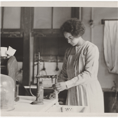 Image illustrant cette actualité