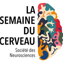 Vignette illustrant cette actualité