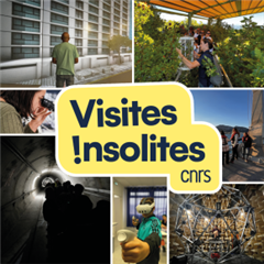 Vignette illustrant cette actualité