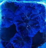 Vignette illustrant cette actualité