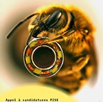 Vignette illustrant cette actualité