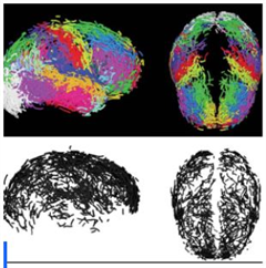 Vignette illustrant cette actualité