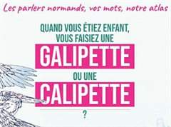 Image illustrant cette actualité