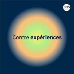 Vignette illustrant cette actualité