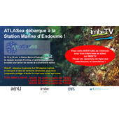 Vignette illustrant cette actualité