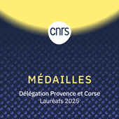 Vignette illustrant cette actualité