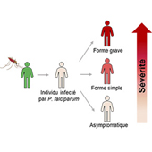 Vignette illustrant cette actualité