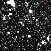 Vignette illustrant cette actualité