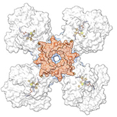 Vignette illustrant cette actualité