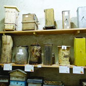 Vignette illustrant cette actualité