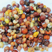 Vignette illustrant cette actualité