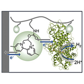 Vignette illustrant cette actualité