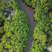 Vignette illustrant cette actualité