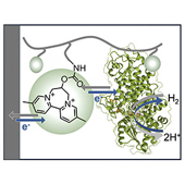Vignette illustrant cette actualité