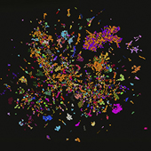 Vignette illustrant cette actualité