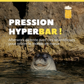 Vignette illustrant cette actualité