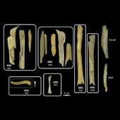 Vignette illustrant cette actualité