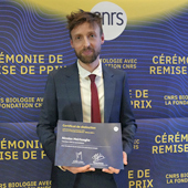 Image illustrant cette actualité