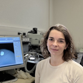 Image illustrant cette actualité