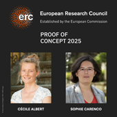 Vignette illustrant cette actualité