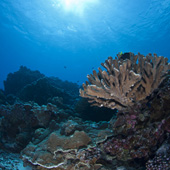 Vignette illustrant cette actualité