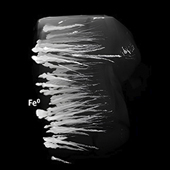 Vignette illustrant cette actualité