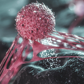 Vignette illustrant cette actualité