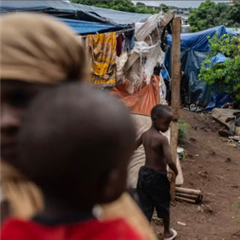 Vignette illustrant cette actualité