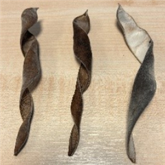 Vignette illustrant cette actualité