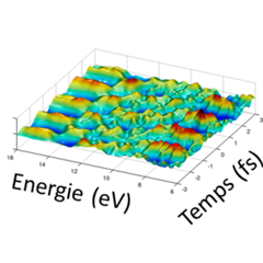 Vignette illustrant cette actualité