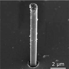 Vignette illustrant cette actualité