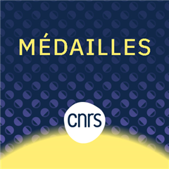 Vignette illustrant cette actualité