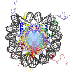 Vignette illustrant cette actualité