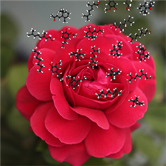 Vignette illustrant cette actualité