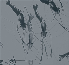 Vignette illustrant cette actualité