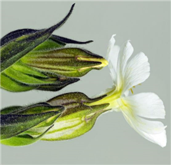 Vignette illustrant cette actualité