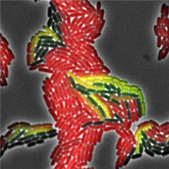 Vignette illustrant cette actualité