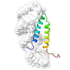 Vignette illustrant cette actualité