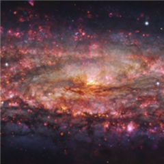 Vignette illustrant cette actualité