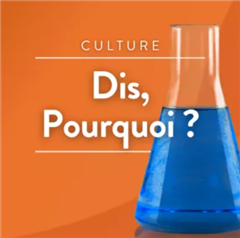 Vignette illustrant cette actualité