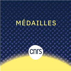 Vignette illustrant cette actualité