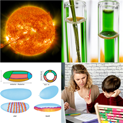 Vignette illustrant cette actualité