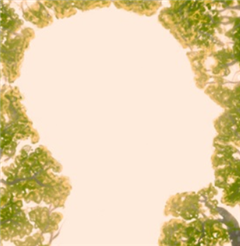 Vignette illustrant cette actualité