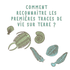 Vignette illustrant cette actualité