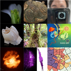 Vignette illustrant cette actualité