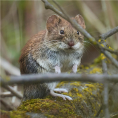 Vignette illustrant cette actualité