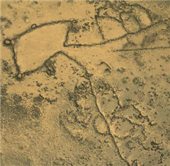 Image illustrant cette actualité